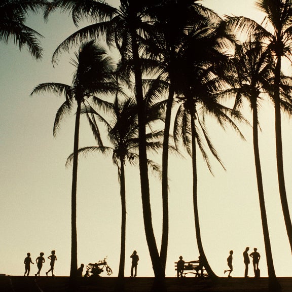 A set of palm tree silhouettes against a setting sun with the shadows of people in the foreground.