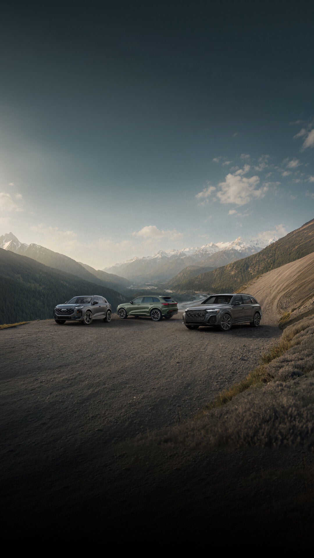 A row of Audi vehicles parked on a hill.