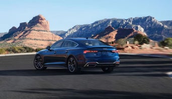 SPORT SUSPENSION