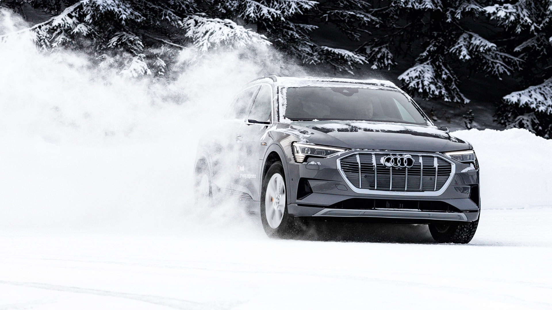 Audi in Snow