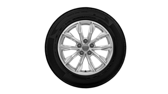 Audi Tires - Q5 17" B9 WINTER TIRE PACKAGE