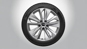 Q6 e-tron | Model Year 2025+ | 20" Winter Wheel