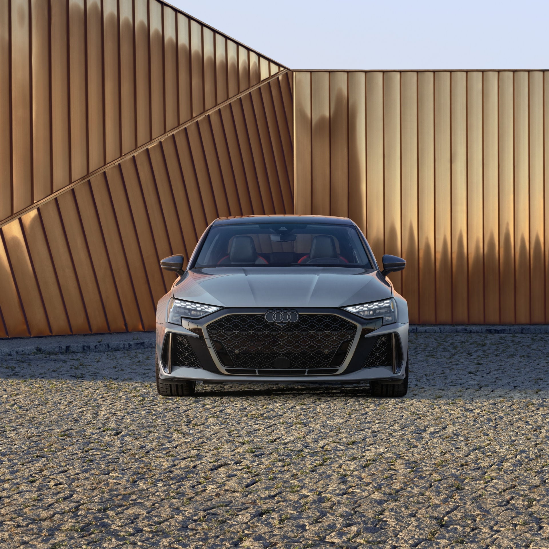 Front shot of Audi RS 3 model.