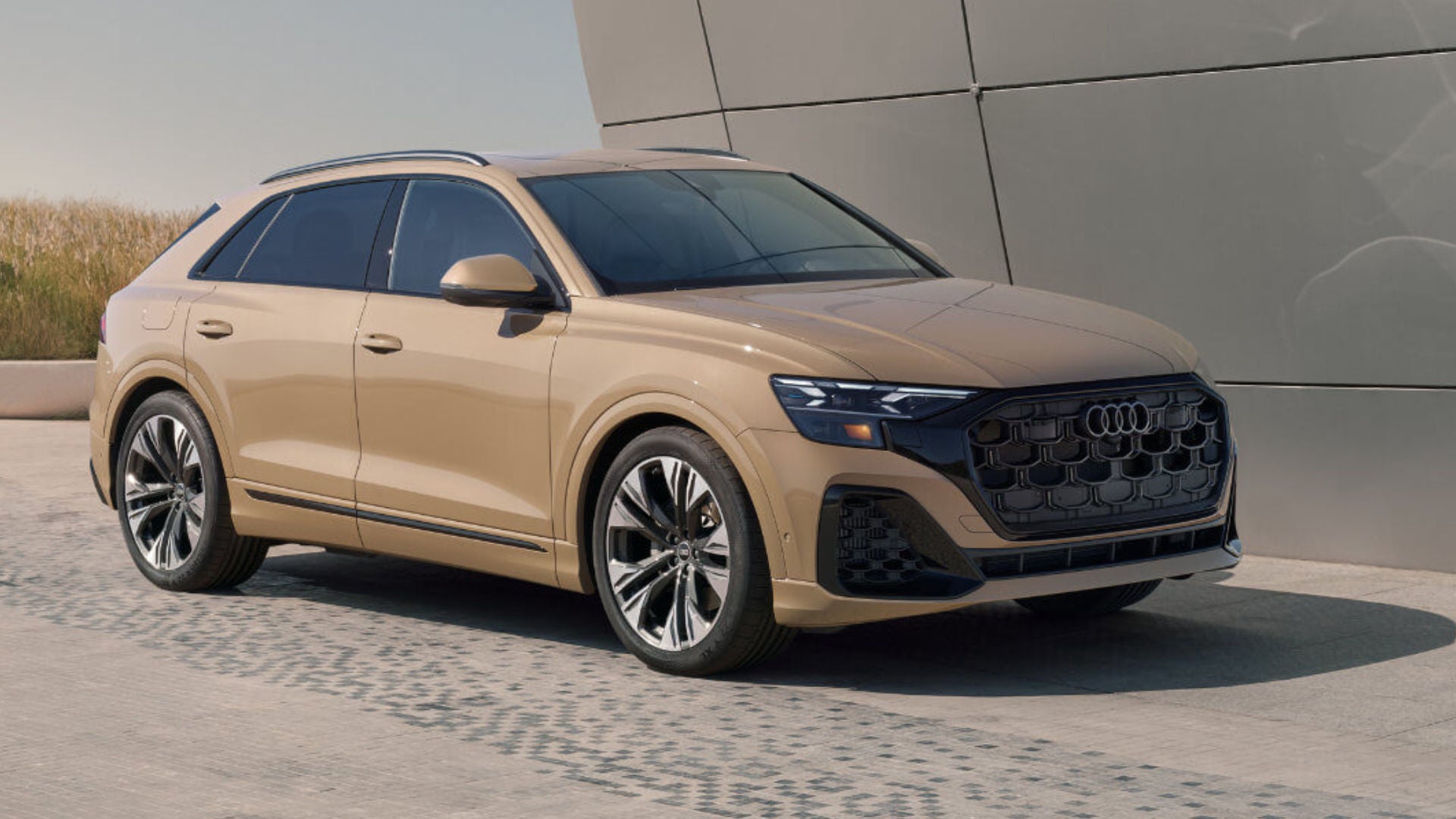 2025 Audi Q8 Exterior Parked