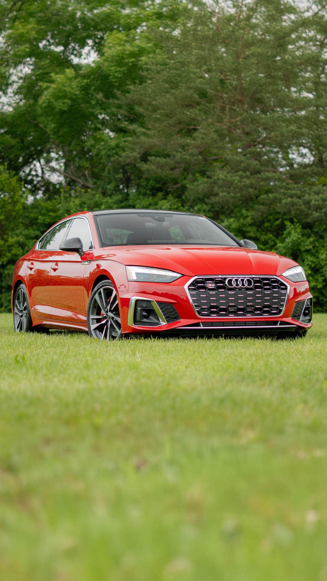 Rear profile view of an Audi Q5 parked.