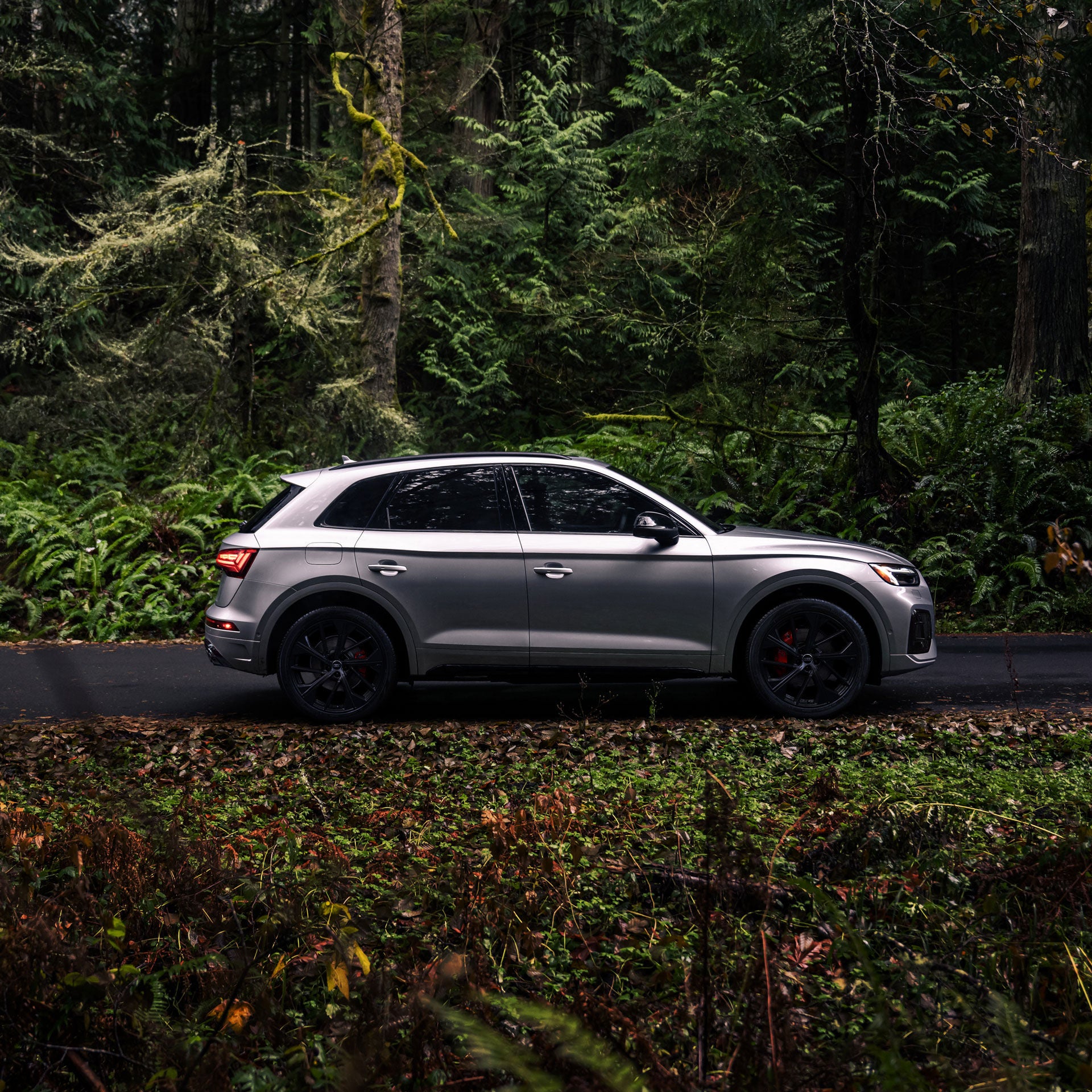image of sq5