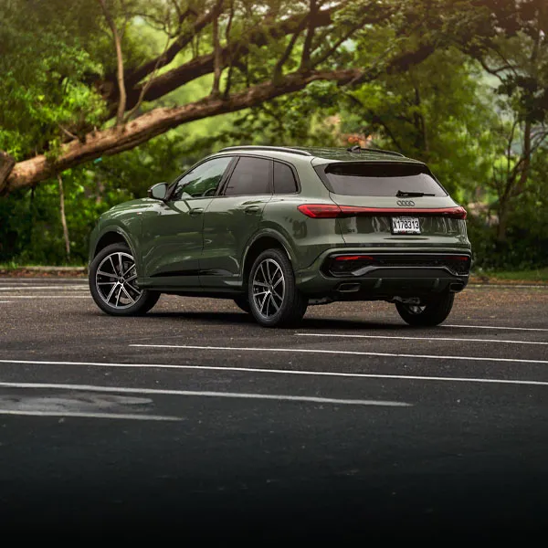 Vue arrière de l'Audi Q5 2025 couleur vert, stationnée près de gros arbres - Audi Lévis