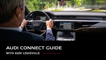 Audi Connect Guide