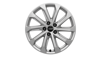 Audi Q5 18" WINTER PKG