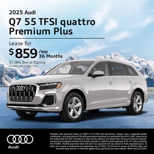 Q7 55 TFSI quattro Premium Plus