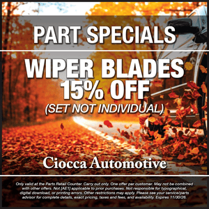 Wiper Blades 10% off – Set not individual