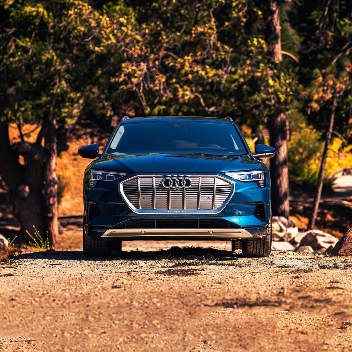 Front view of the Audi E-tron