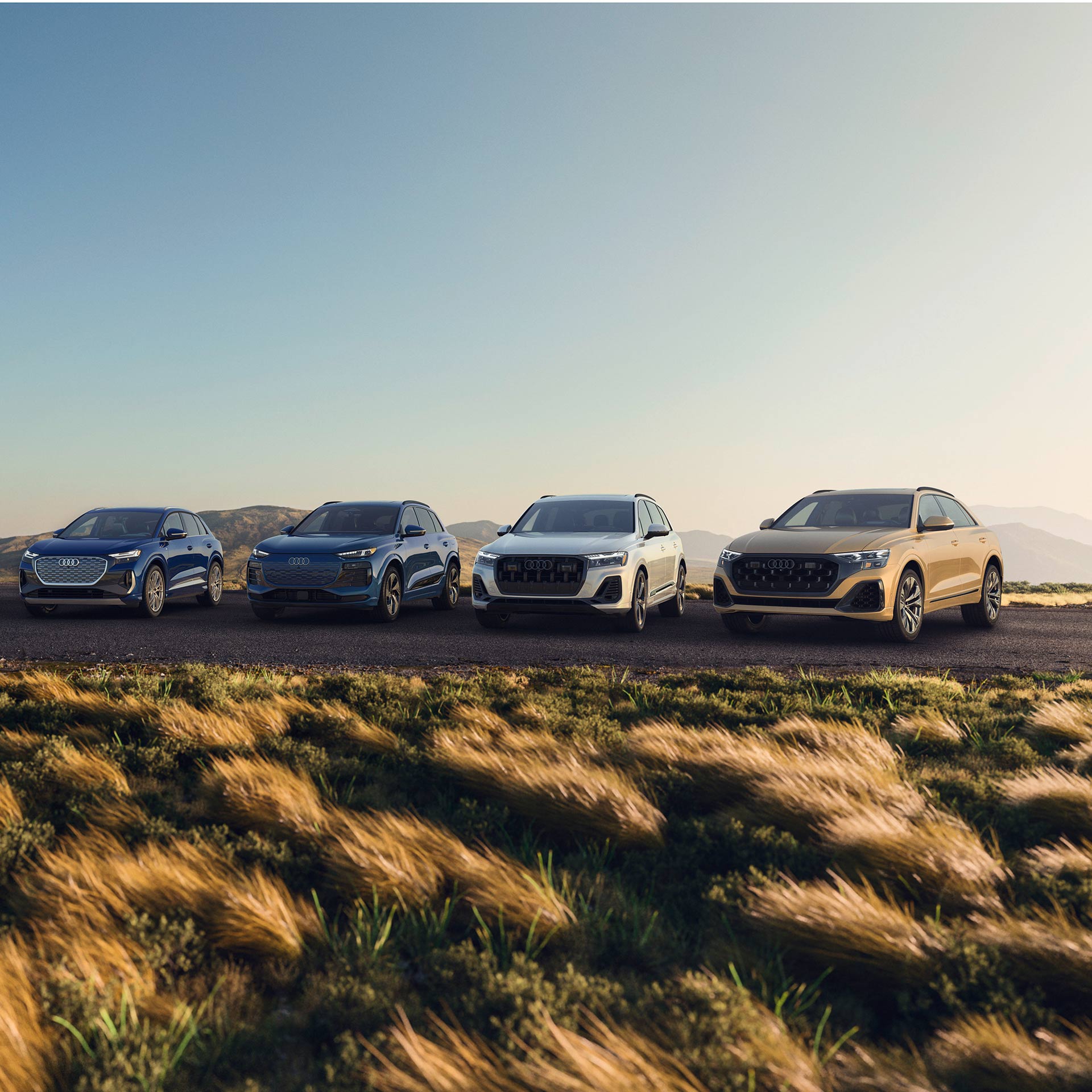 Aerial front view of the Audi SUV line-up.