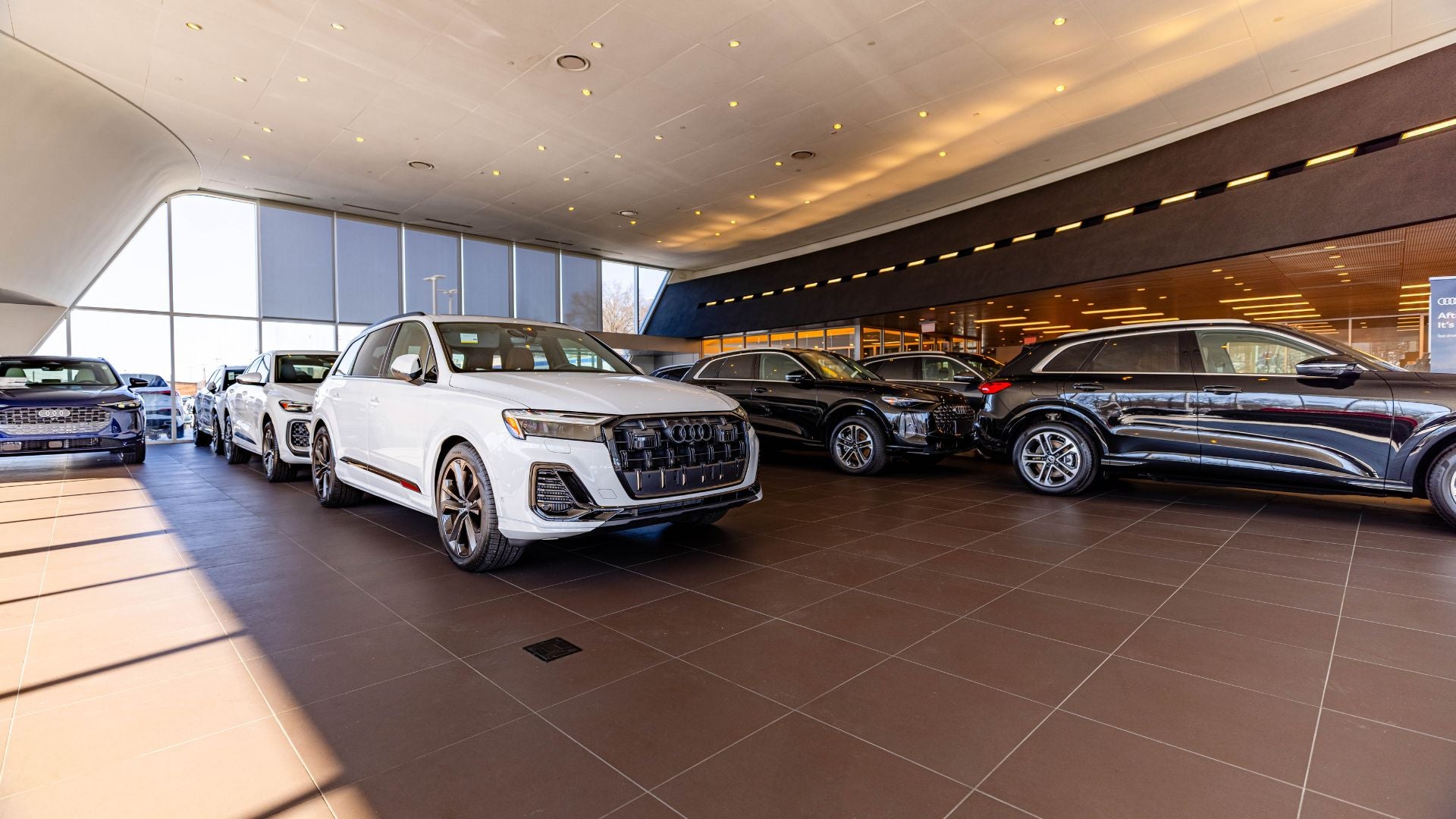 Several Audi SUVs parked inside the Audi Winston-Salem dealership showroom