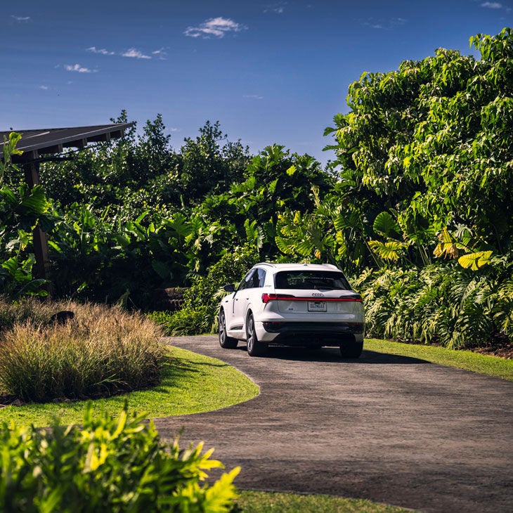 Rear view of a white Audi vehicle driving in a greenery-lined path.