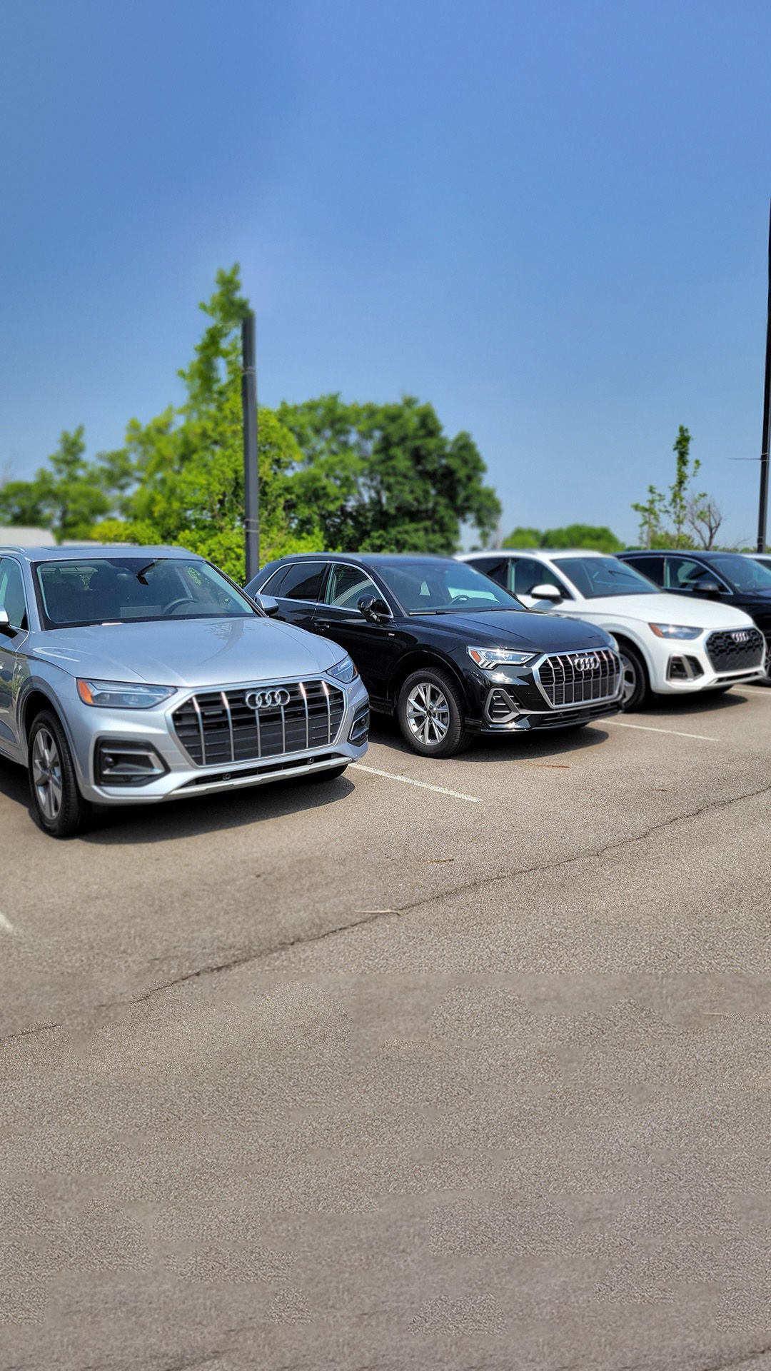Left profile view of an Audi Q7 parked.