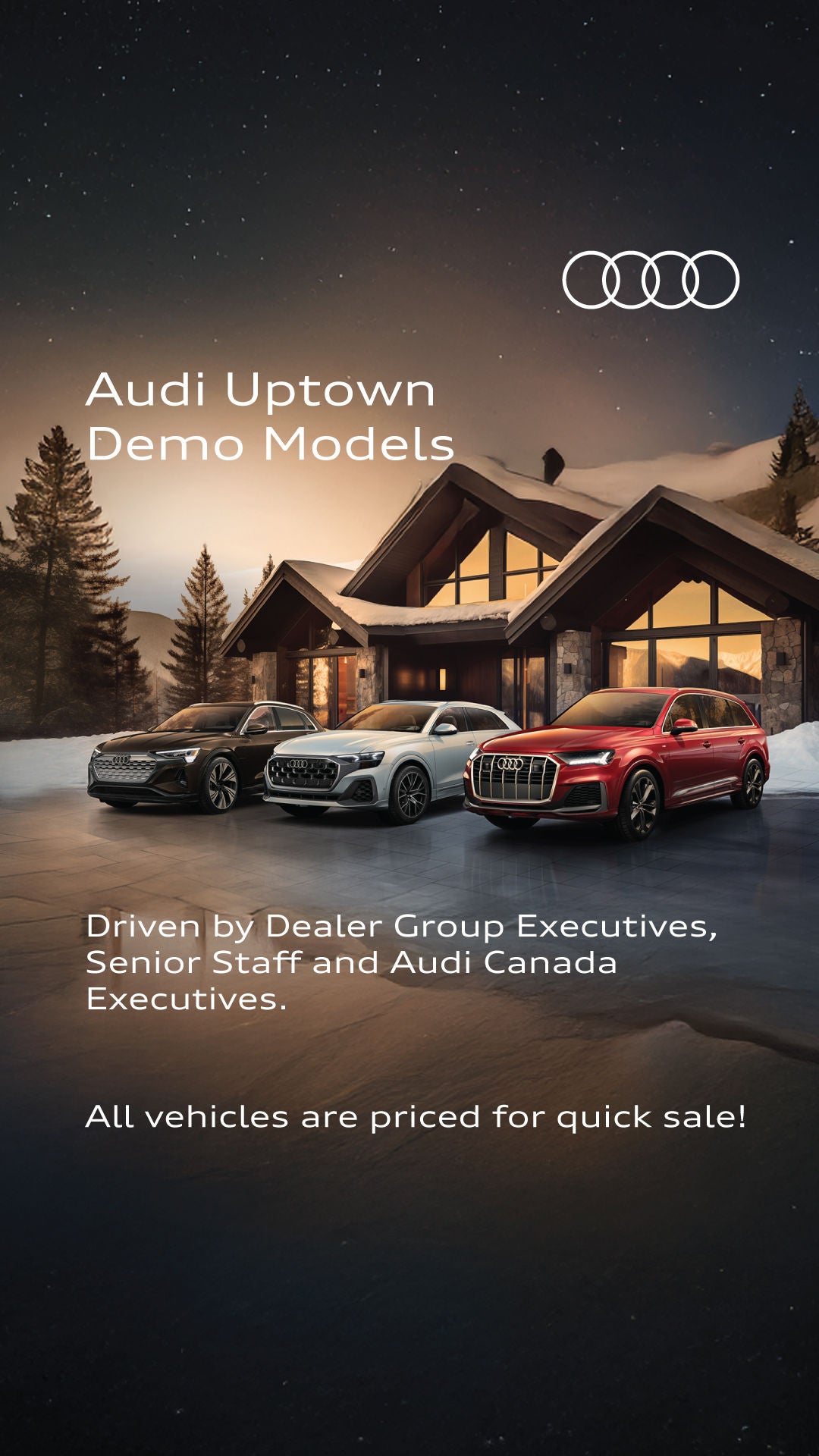 Audi Demonstrator SUVs in an upscale wintery setting