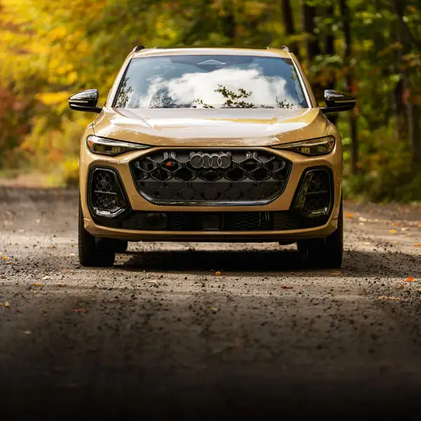 Vue de face de l'Audi Q5 2025 couleur or, stationnée dans un chemin forestier - Audi de Québec  