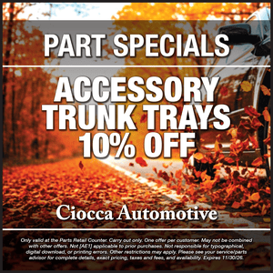 Accessory Trunk Trays – 10% off