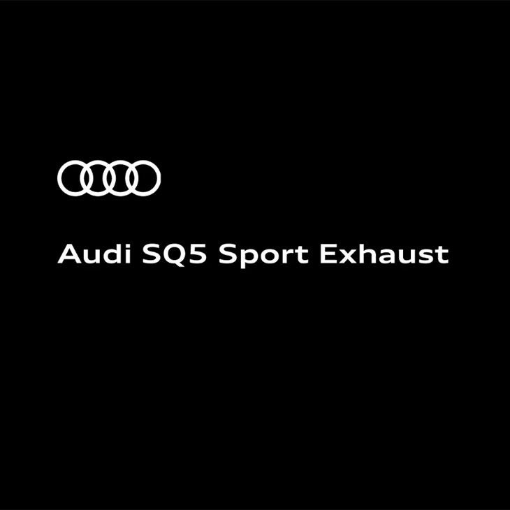 Video and engine sound of the new Audi SQ5 with sport exhaust starting up, accelerating, and decelerating.