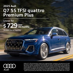 Q7 55 TFSI quattro Premium Plus