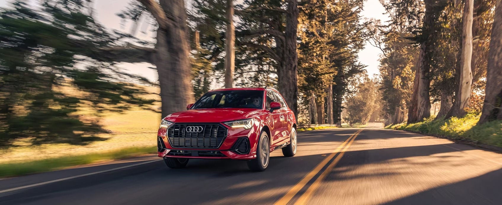 Used Car Dealer near Me