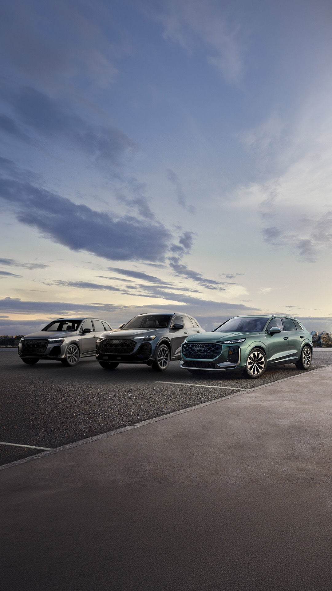 Audi Q Series
