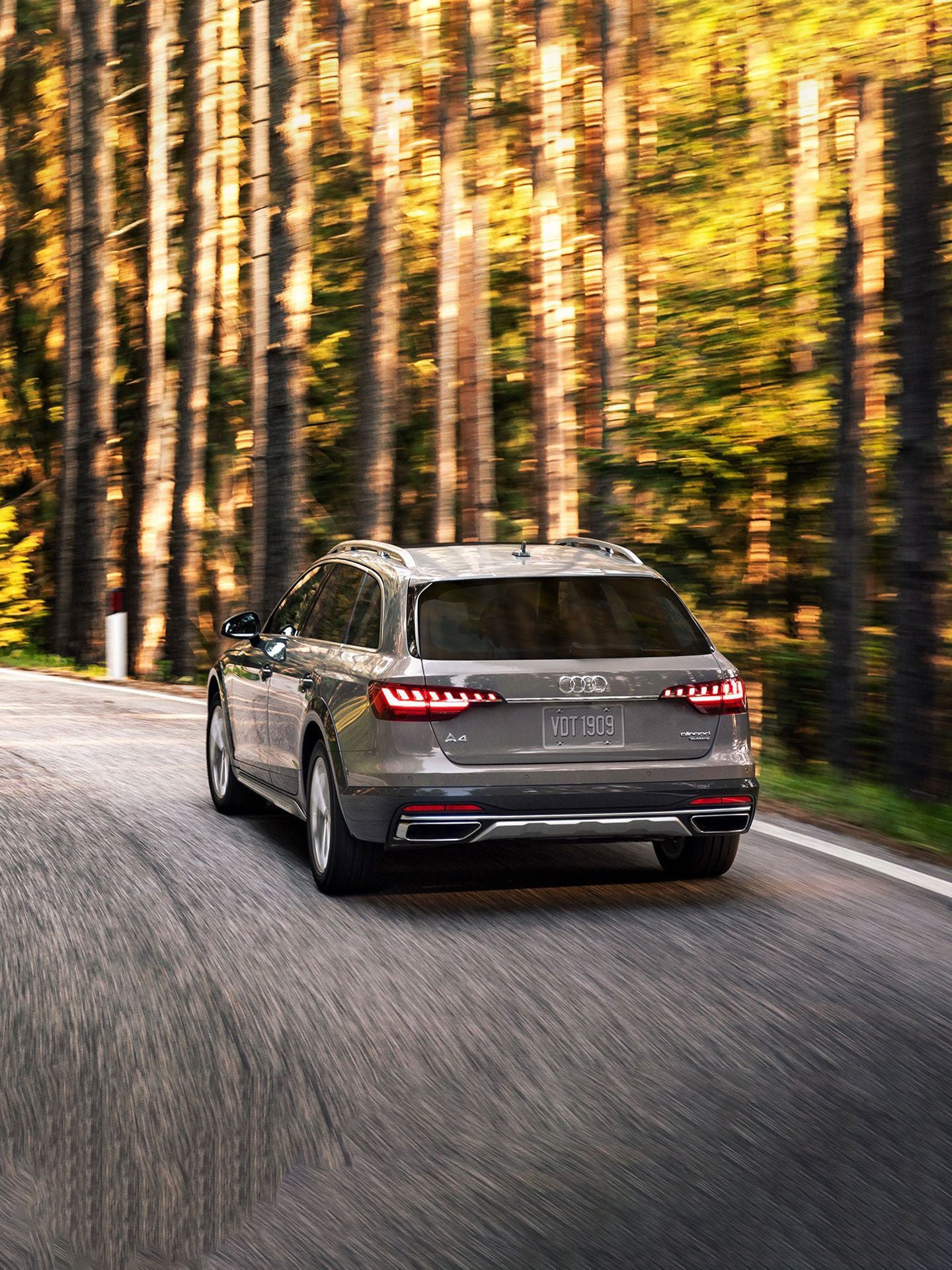 Vue arrière d'une Audi A4 allroad grise accélérant sur une route bordée de forêt.