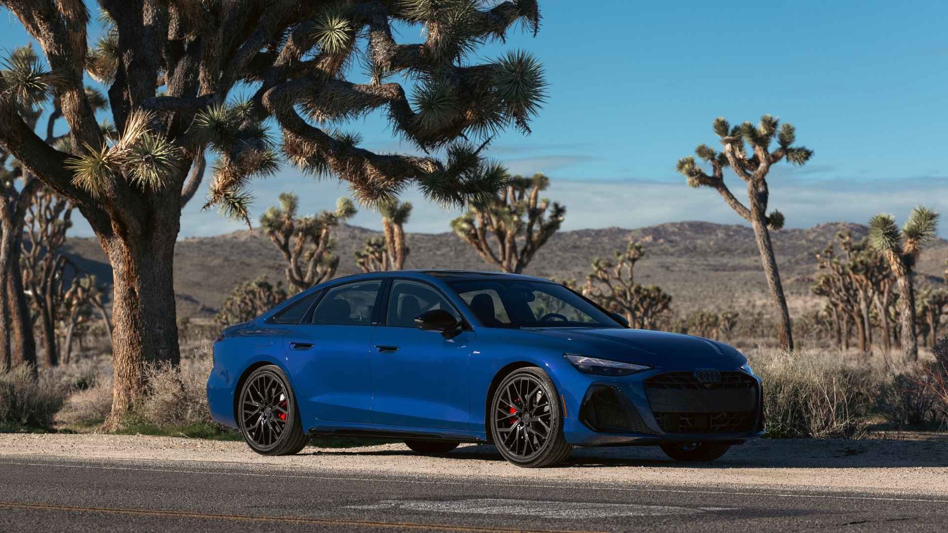 Choosing the Right Trim