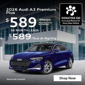 A3