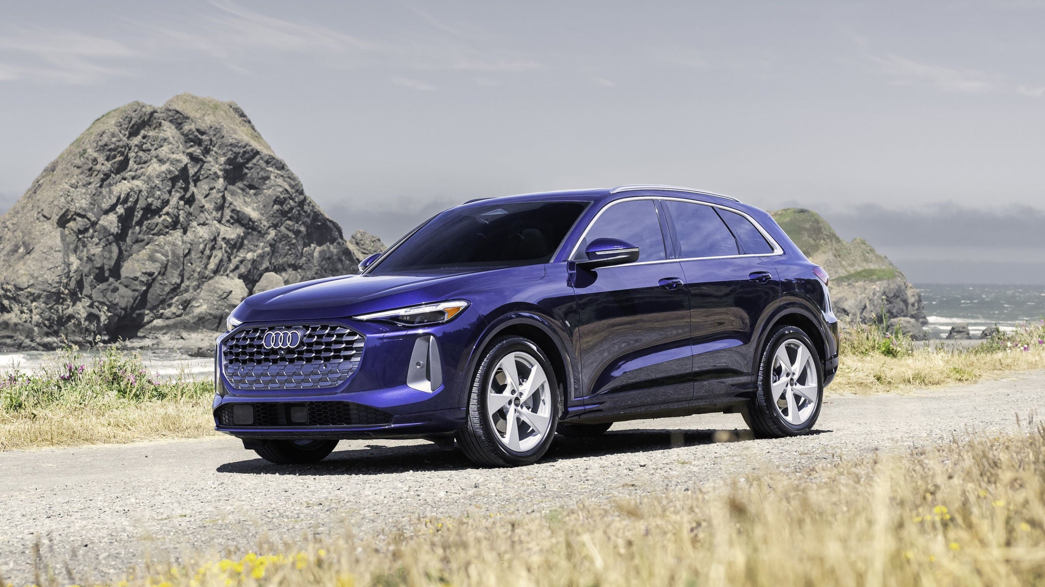 Genuine Audi Service