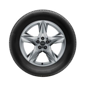 5-spoke star design, brilliant silver, for the Audi Q7.