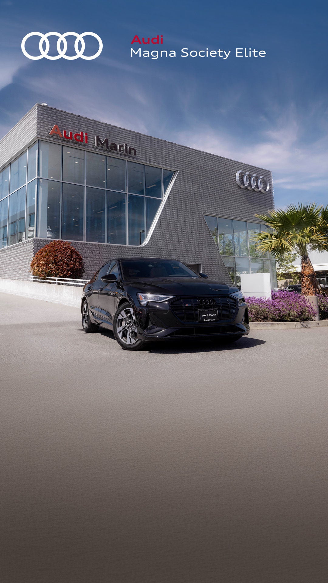 Front profile view of the Audi Marin dealership.