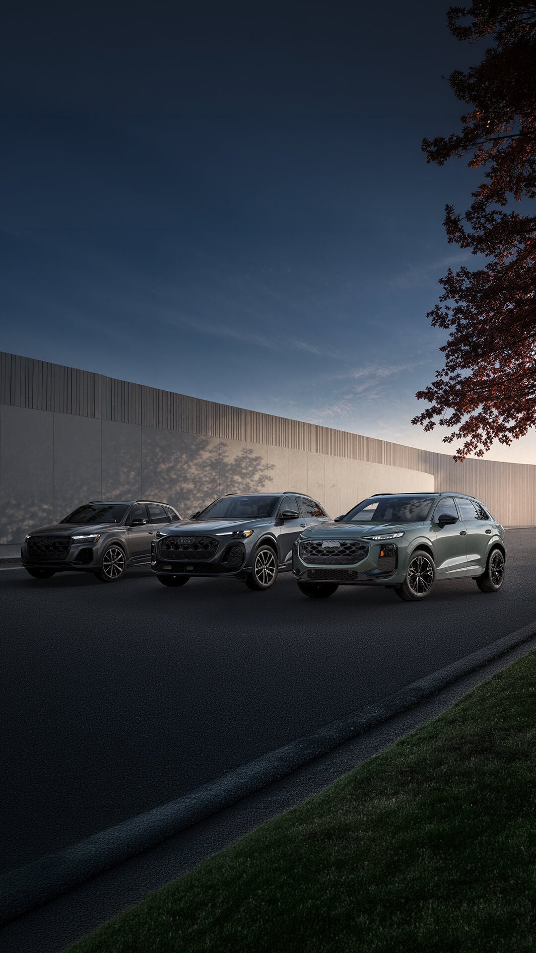 Audi Q Series