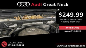 Sunroof & Front Plenum Drain Cleaning $249.99