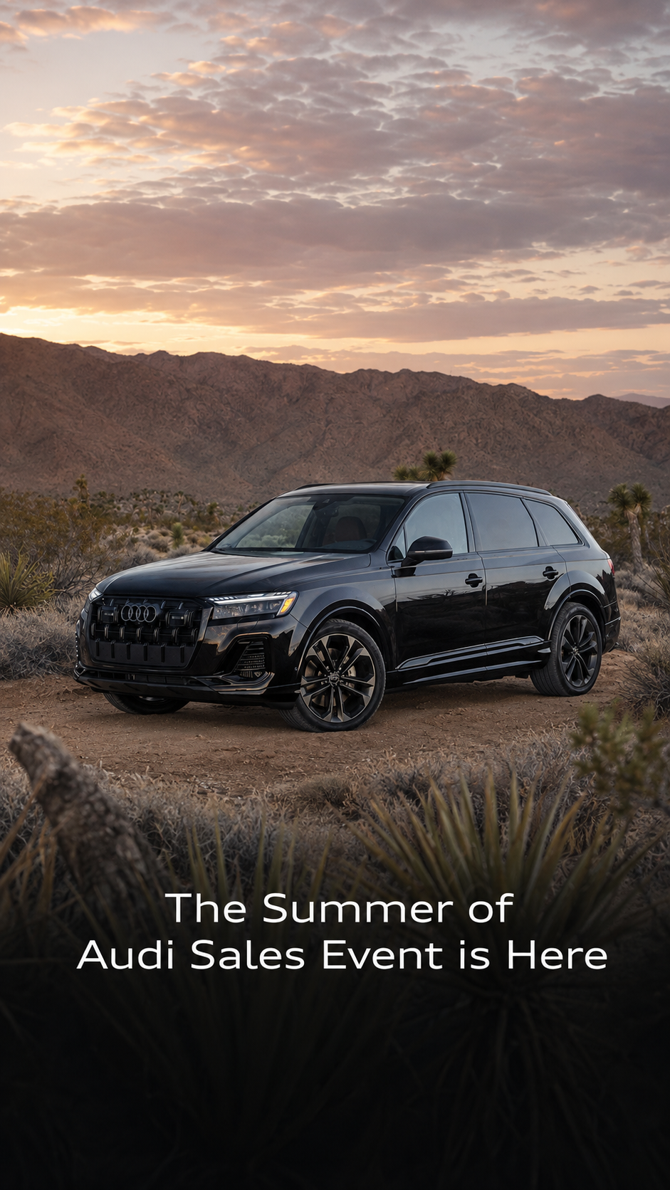 2026 Q7 model in desert