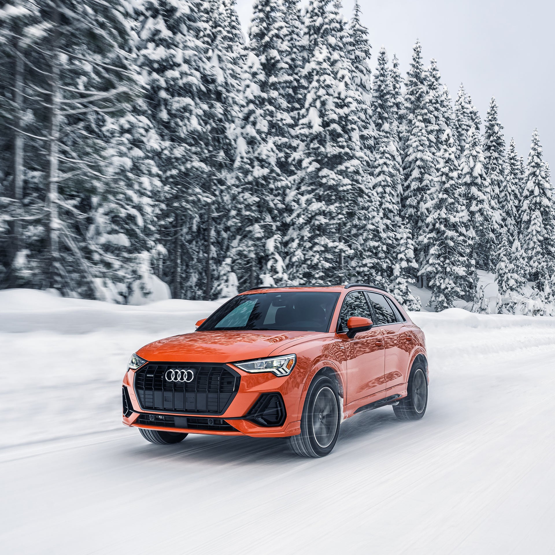 Genuine Audi Service Winter Spend and Save