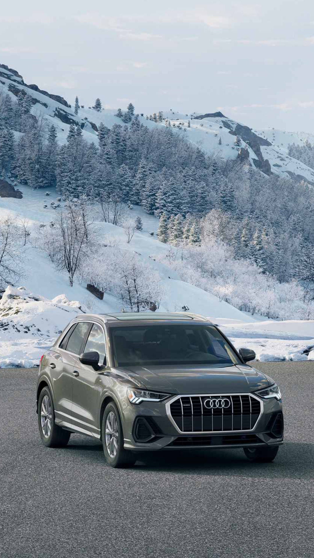 Audi Winter