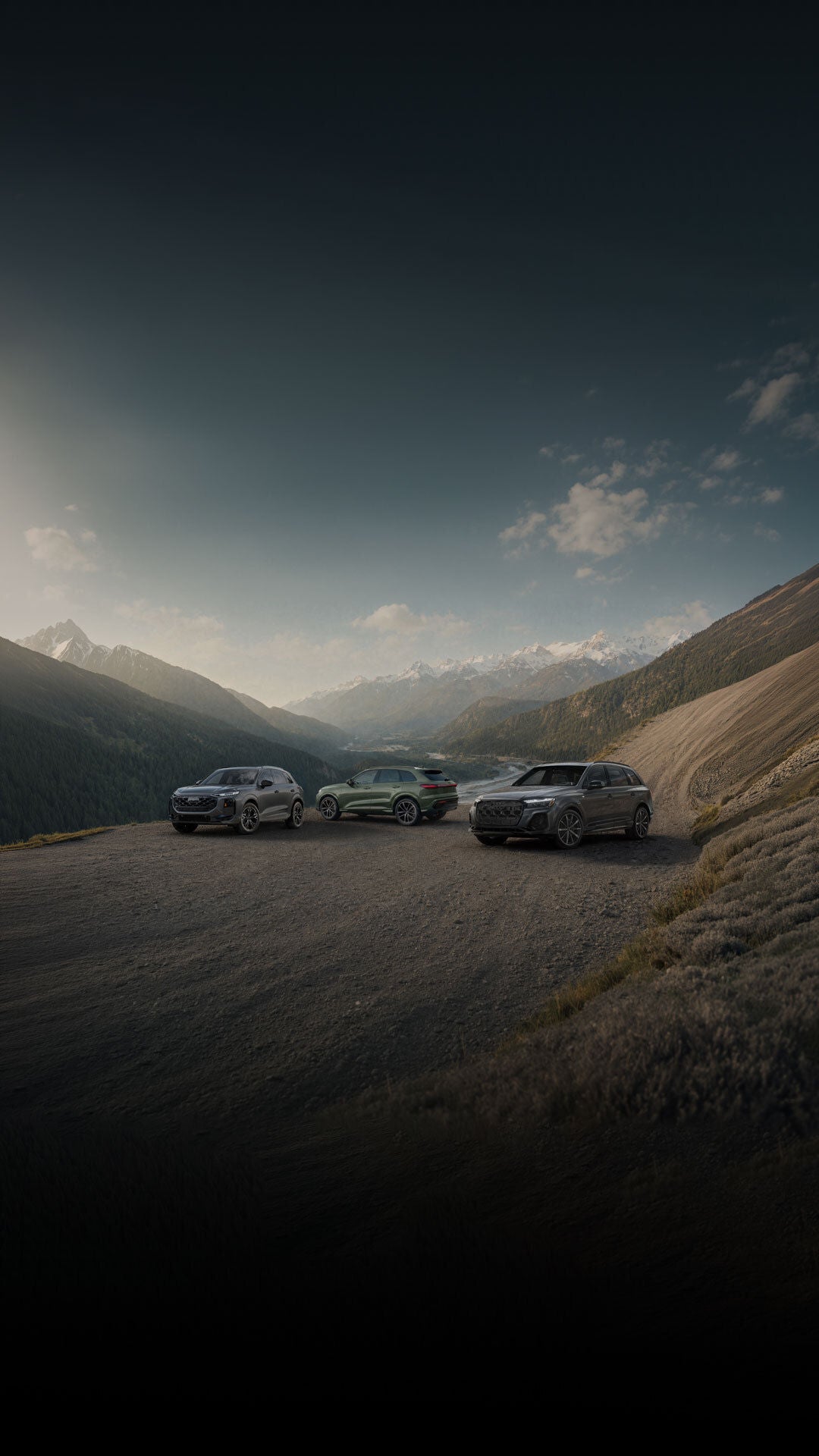 A row of Audi vehicles parked on a hill.