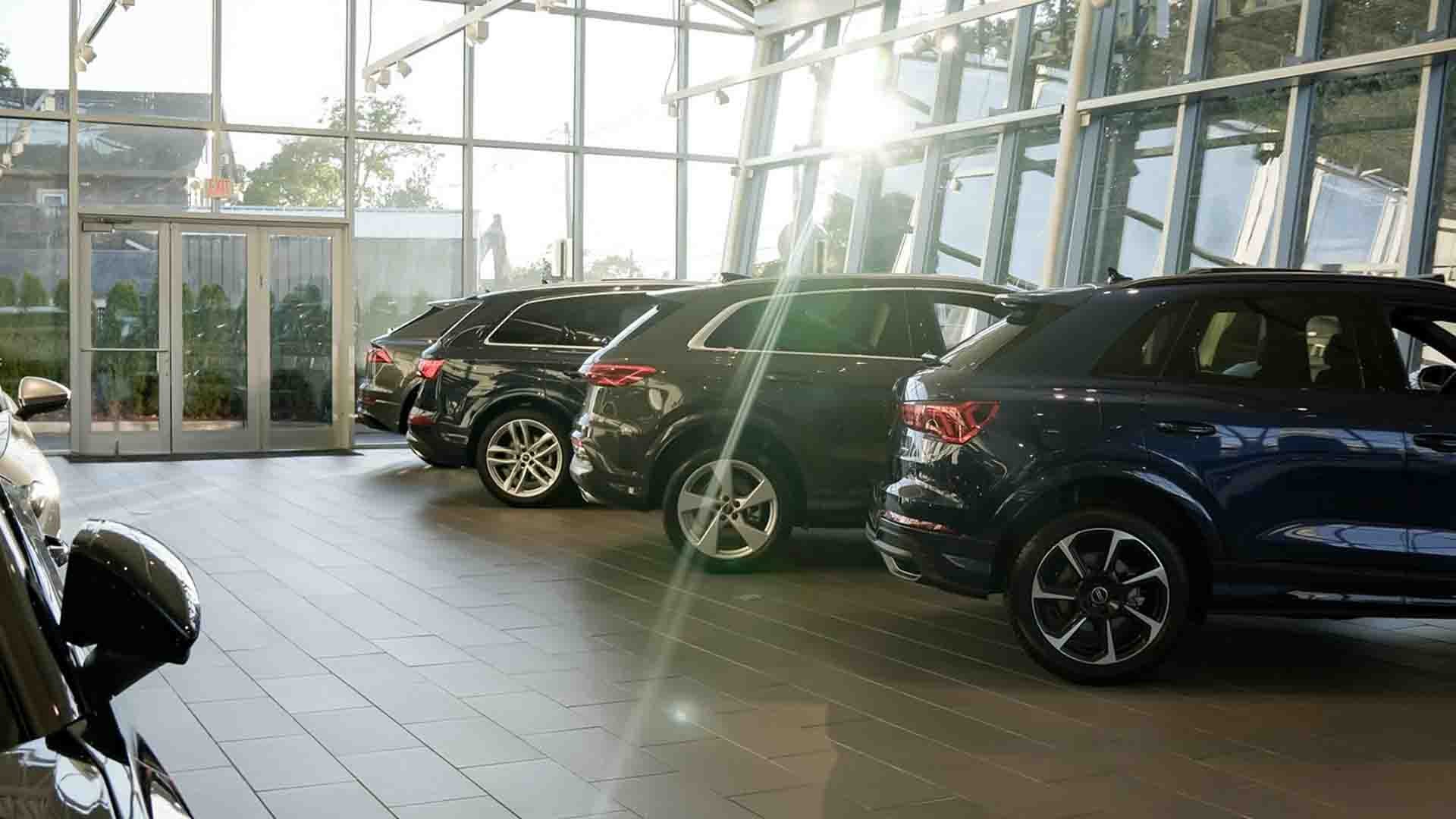 Experience Magna Society Elite for Yourself