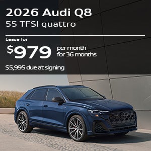 Audi Q8 Specials