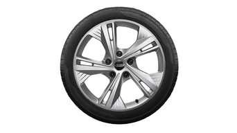 Audi Tires - Q6 19" WINTER TIRE PACKAGE