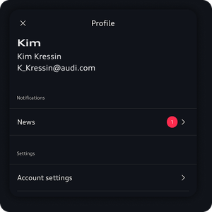 Image of the profile with name, email, notifications, and setting displayed.