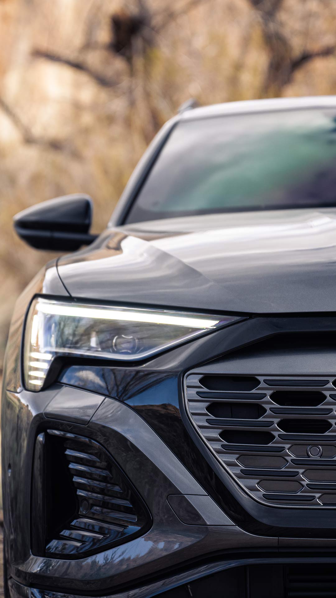 Front view of the Audi Q8 e-tron.