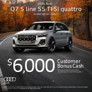 Q7 55 TFSI quattro® 
