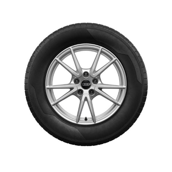 Image of an Audi Q5 Winter Tire and Rim