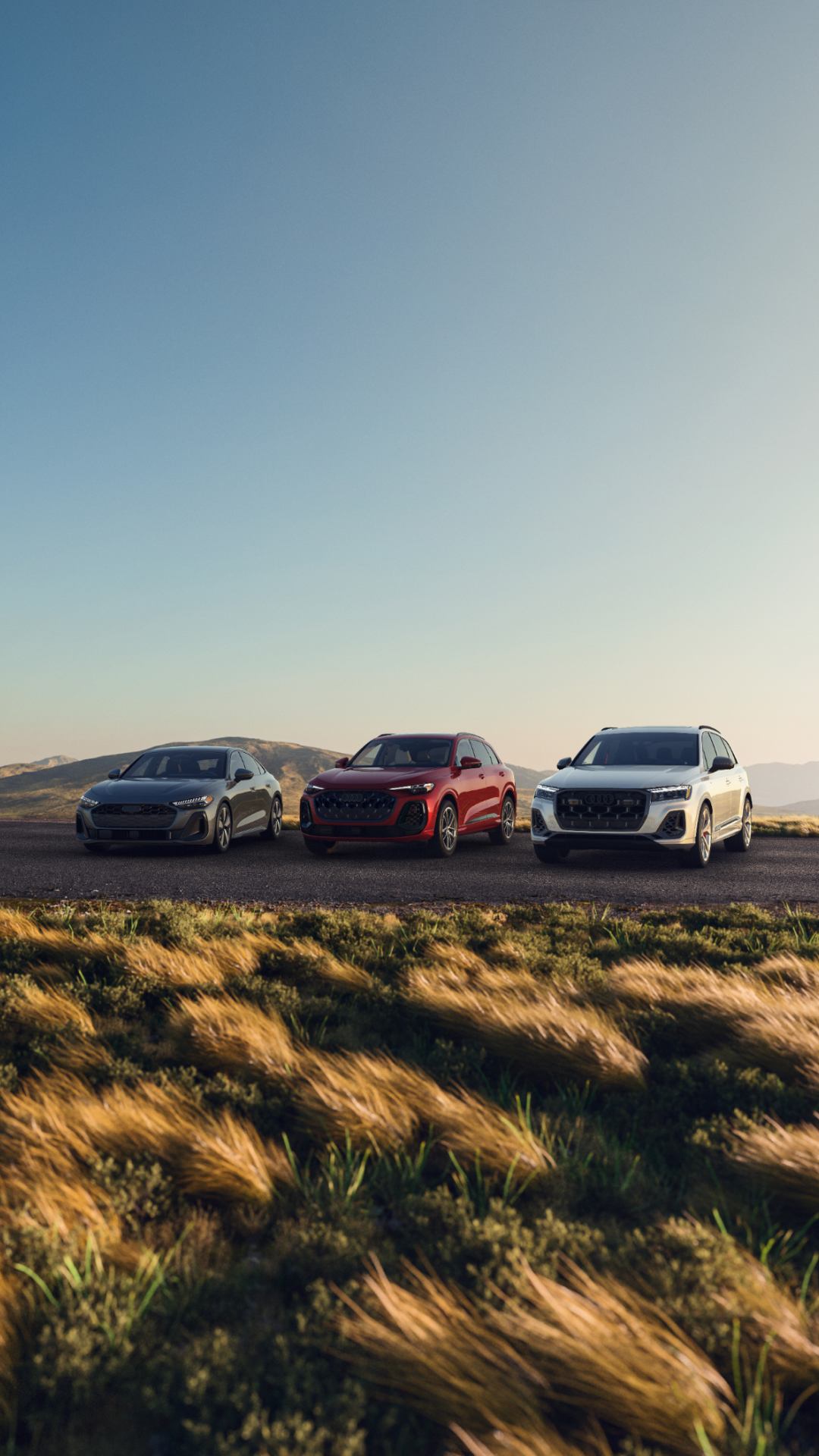 Lineup of Audi vehicles parked.
