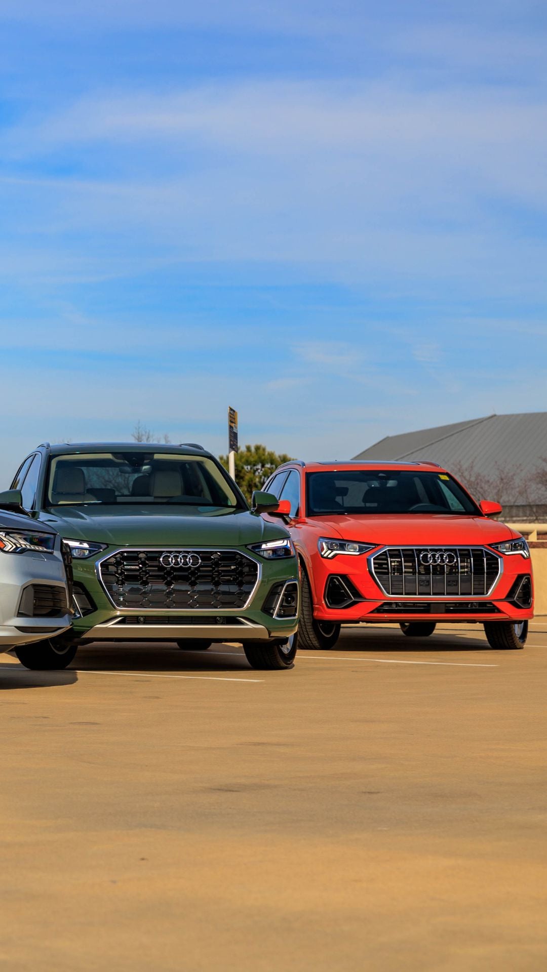 Left profile view of an Audi Q7 parked.