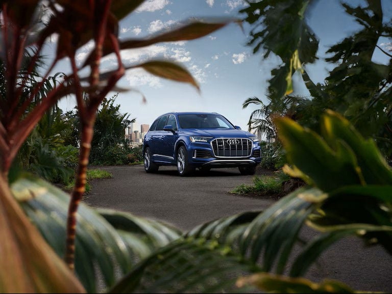 Portrait of Audi Q7 SUV through the leaves