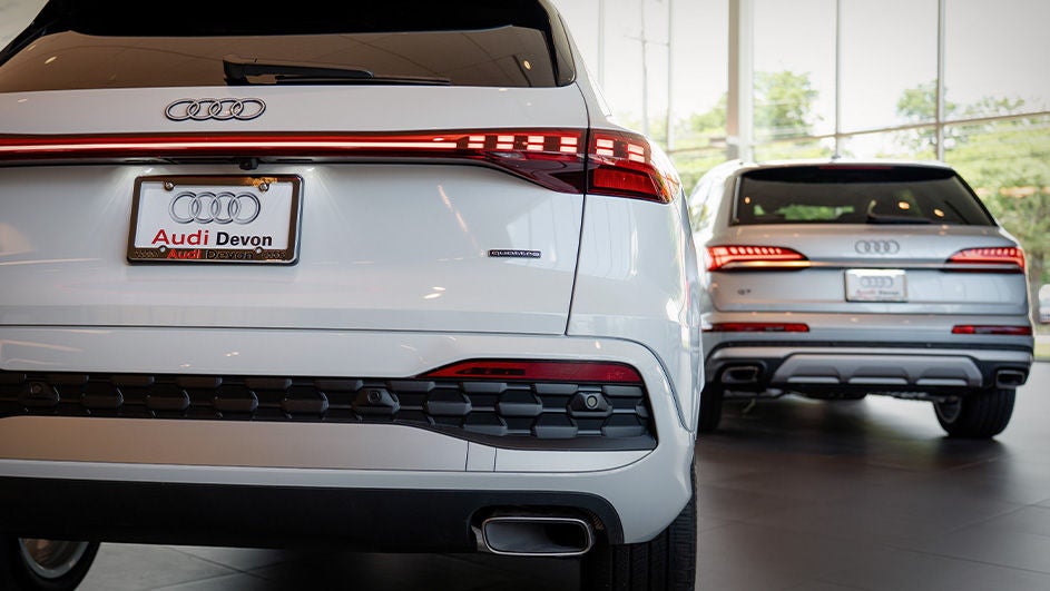 rear of showroom SUVs